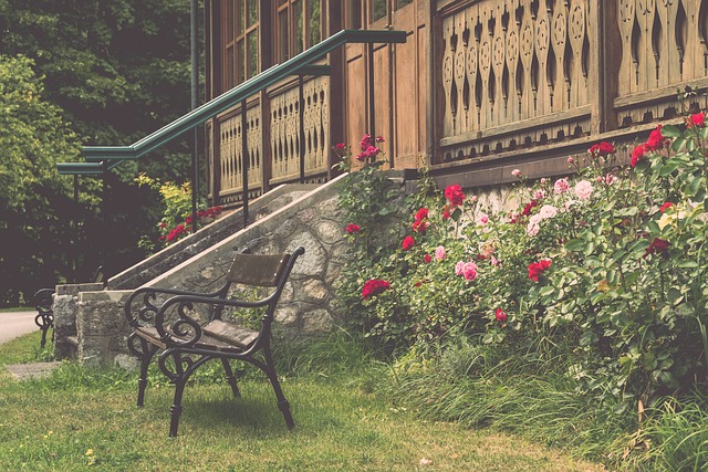 便决定选中 便决定选中