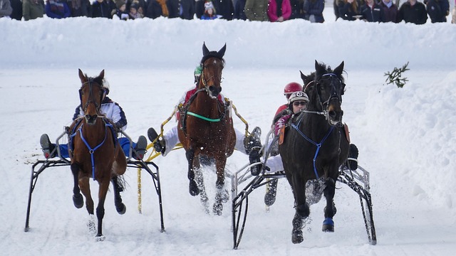 通过持续的 通过持续的