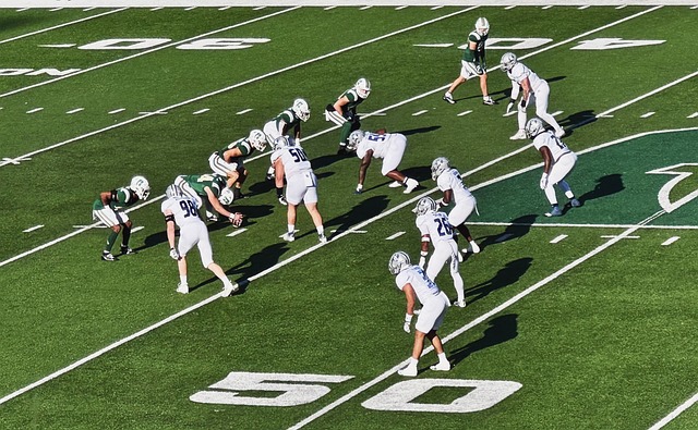 仅为球员提 仅为球员提