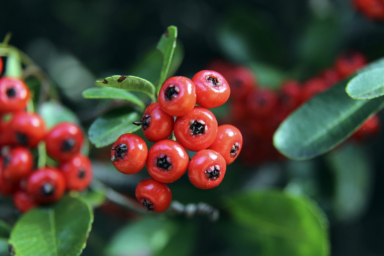 球队中的潜 球队中的潜