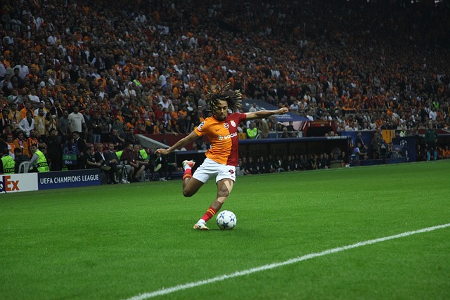 她的实力得 她的实力得