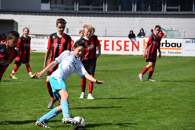 的整体策略 的整体策略