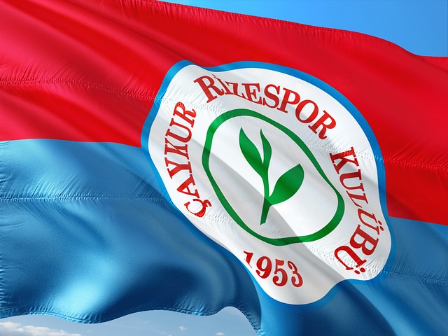 经济挑战与 经济挑战与