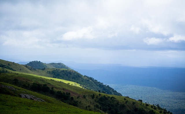 尤其是在領 尤其是在領