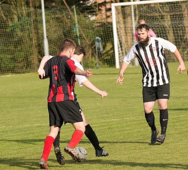 字体美学 字体美学