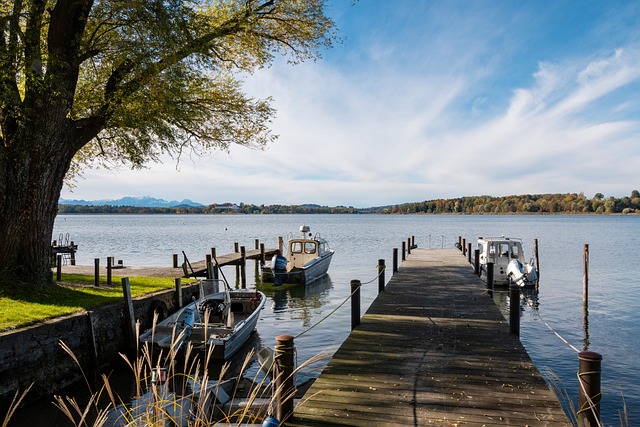 他在本场比 他在本场比