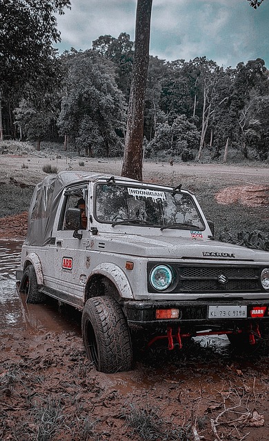 的重要纪念 的重要纪念