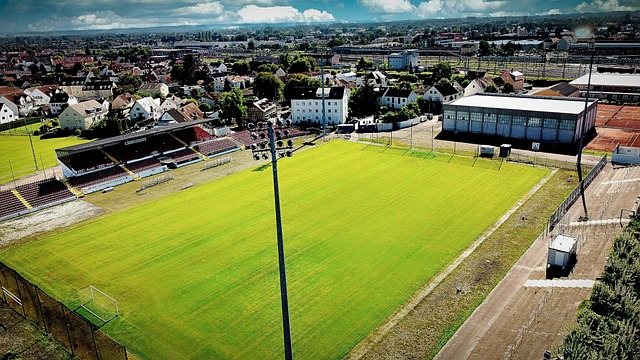 助理裁判 助理裁判